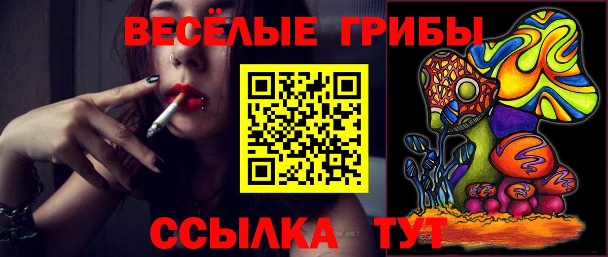Галлюциногенные грибы мухоморы Курганинск