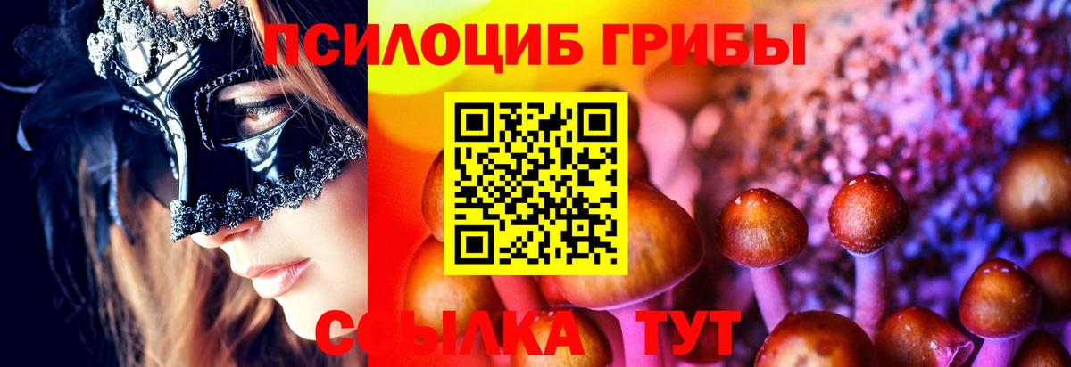 Галлюциногенные грибы Psilocybine cubensis  Вход с VPN  Курганинск 